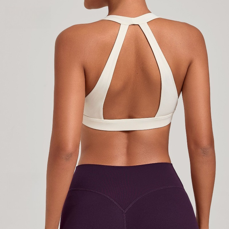 Samless Women's Gym Workout Sp - đánh giá và giá Sports Bra Racerback