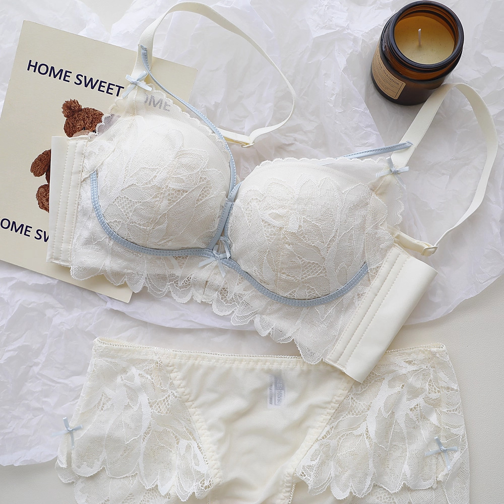 French Back Garden Lingerie Wo - đánh giá và giá Underwire Bra Padded