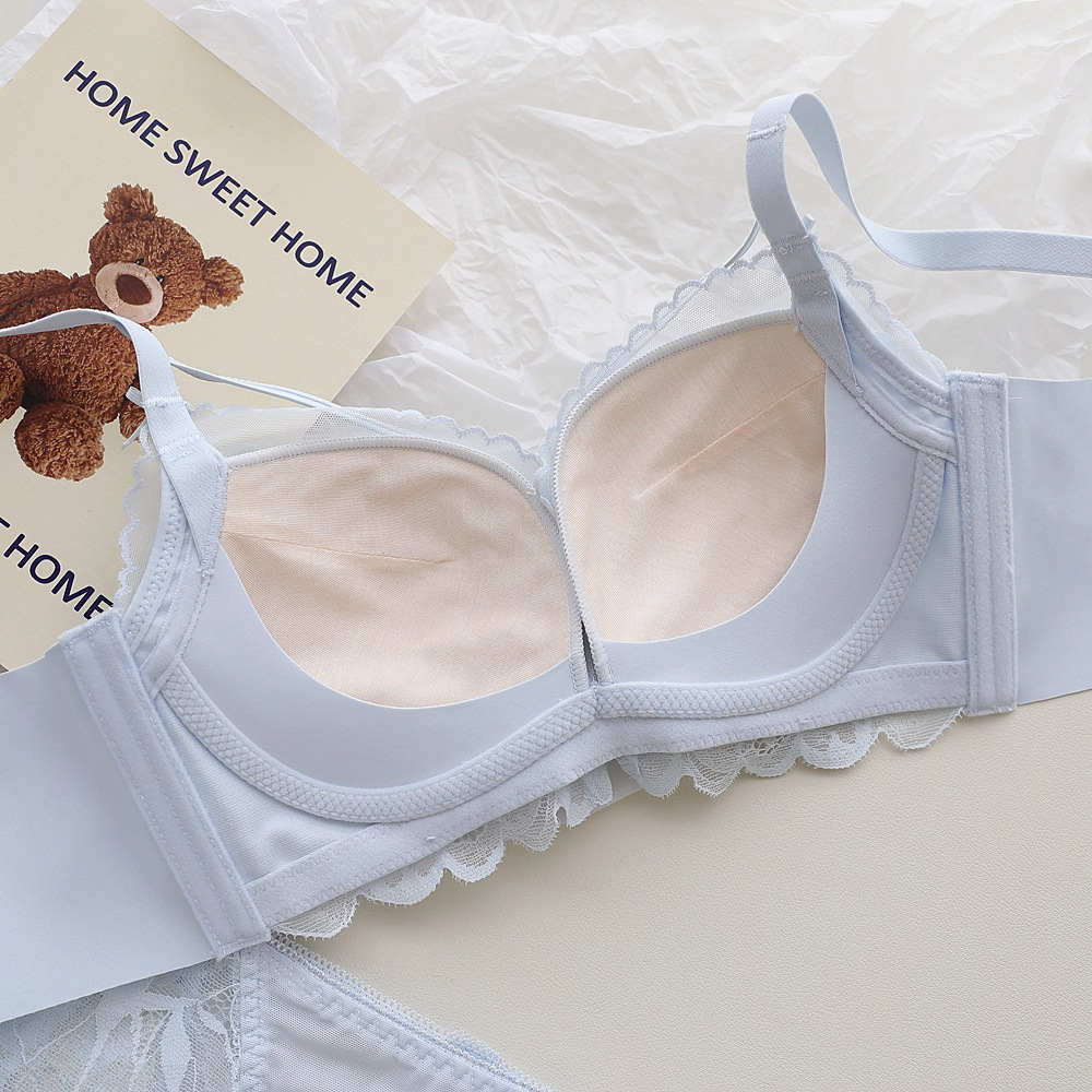 French Back Garden Lingerie Wo - đánh giá và giá Underwire Bra Padded